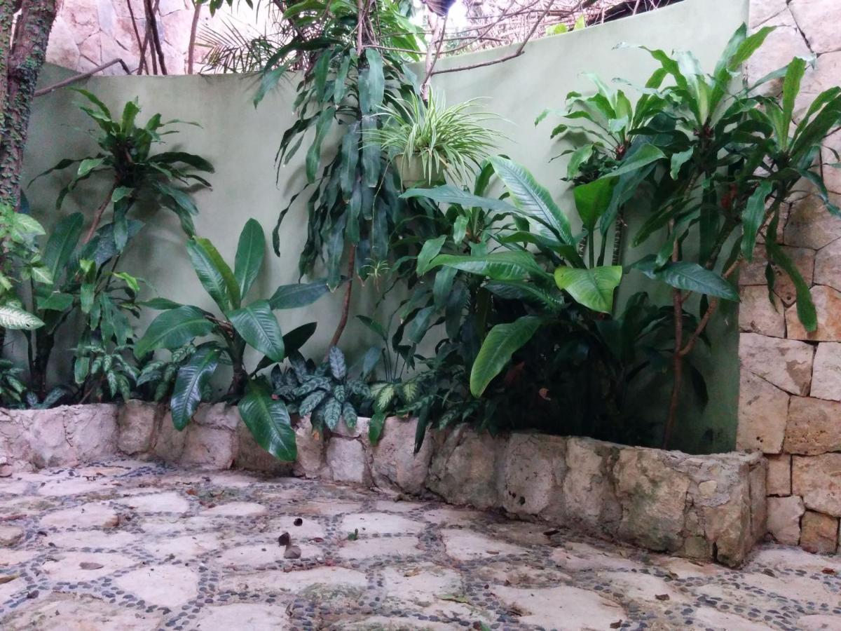 Casa Beard, Spacious Guest House With High Speed Wifi & Pool. Playa del Carmen Zewnętrze zdjęcie